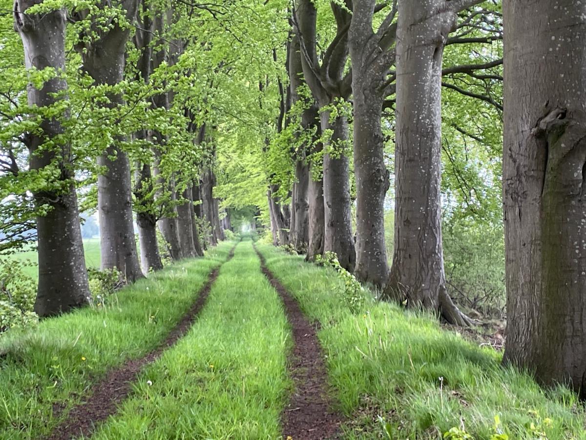 Het Riethuis Holthone Luaran gambar